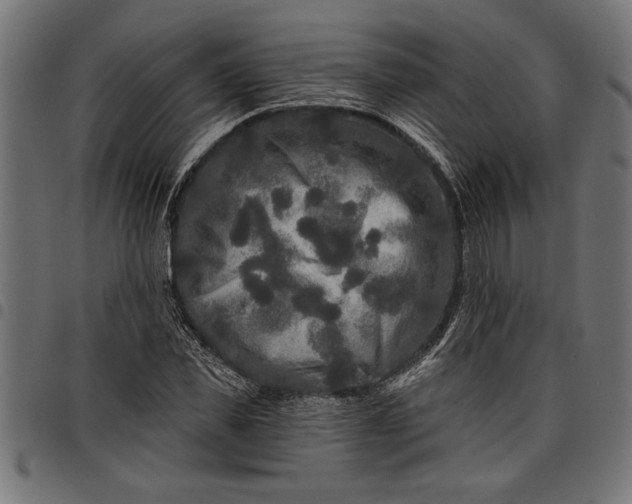 X0000097870925200803281158