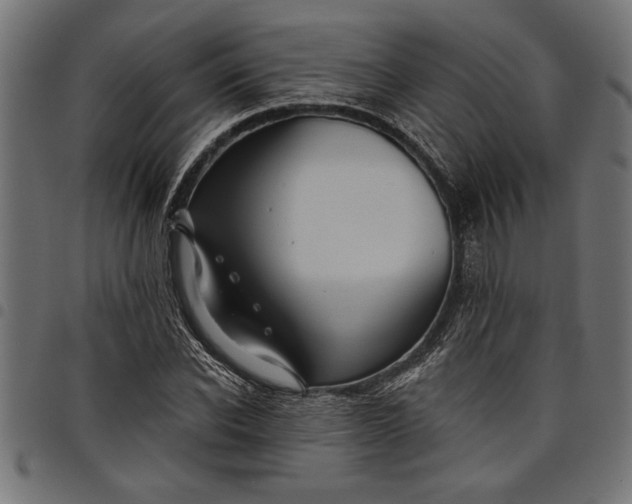 X0000097870926200803281158