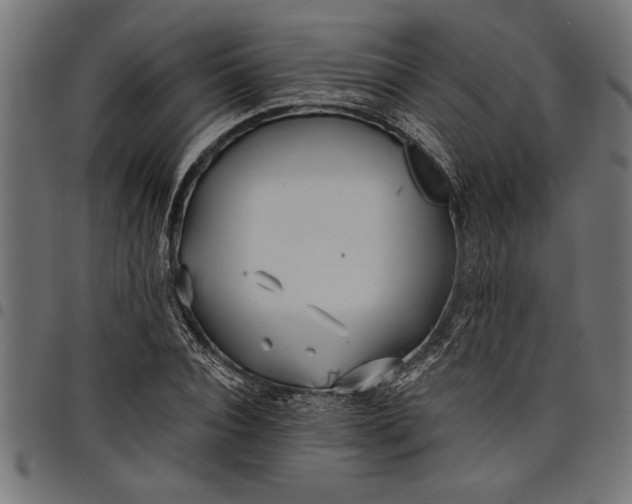 X0000097870928200803281158