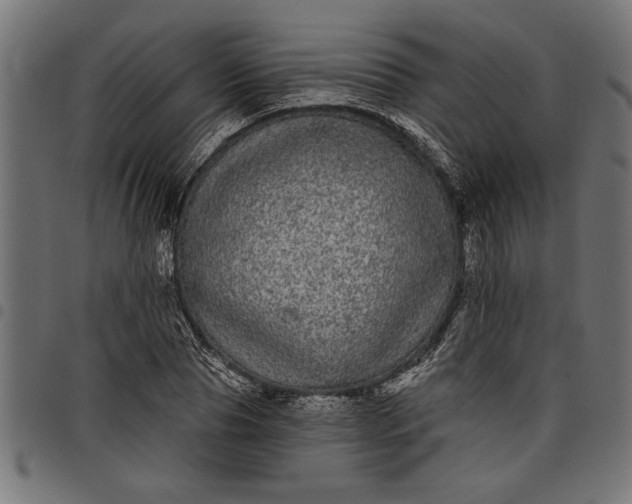 X0000097870929200803281158