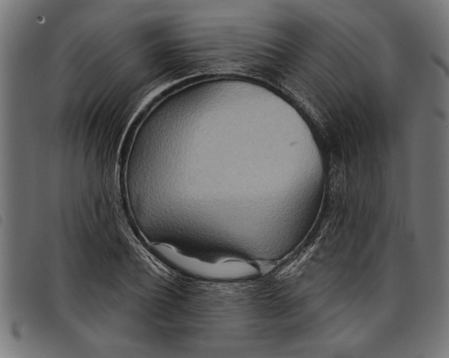 X0000097870932200803281158