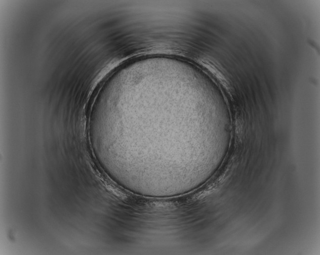 X0000097870933200803281158