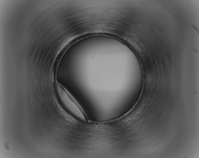 X0000097870934200803281158