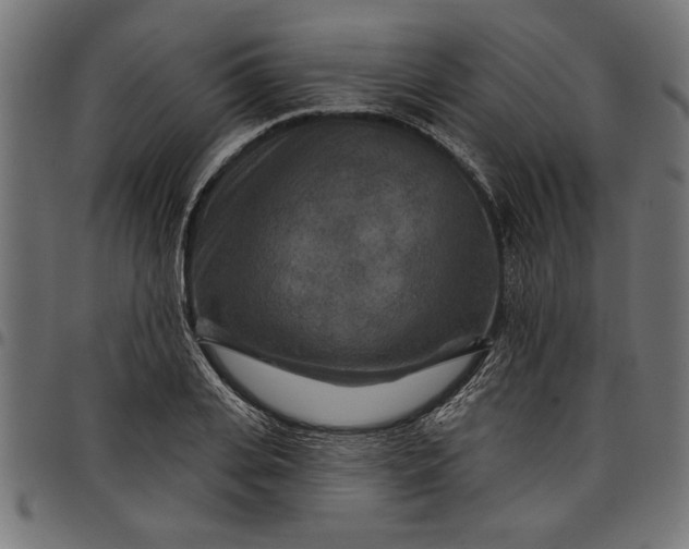 X0000097870935200803281158