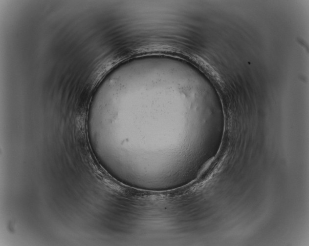X0000097870937200803281158