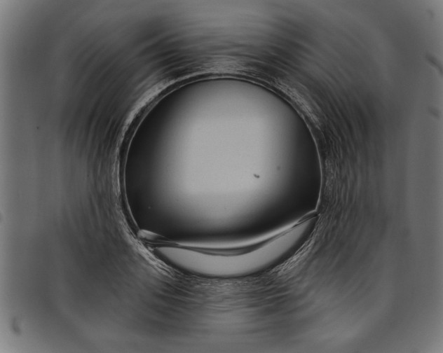 X0000097870939200803281158