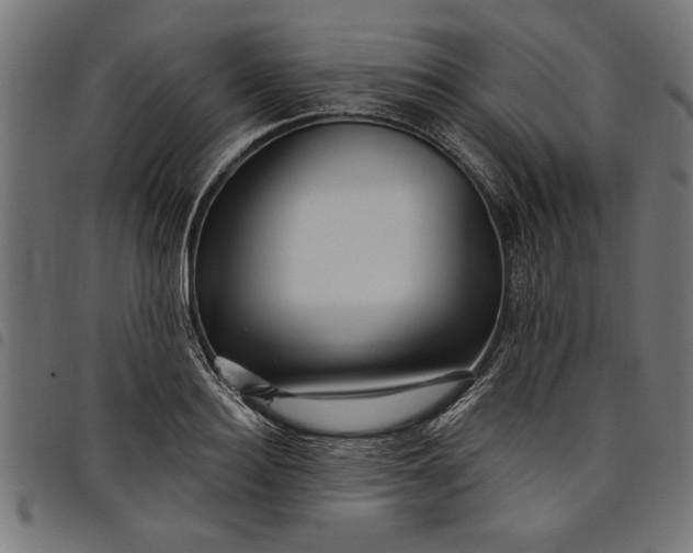 X0000097870940200803281158