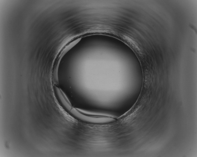 X0000097870942200803281158