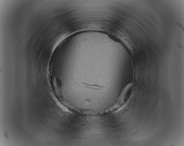 X0000097870944200803281158
