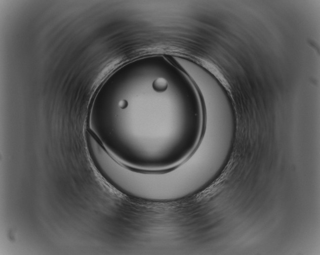 X0000097870946200803281158