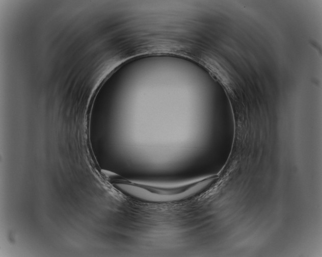 X0000097870948200803281158