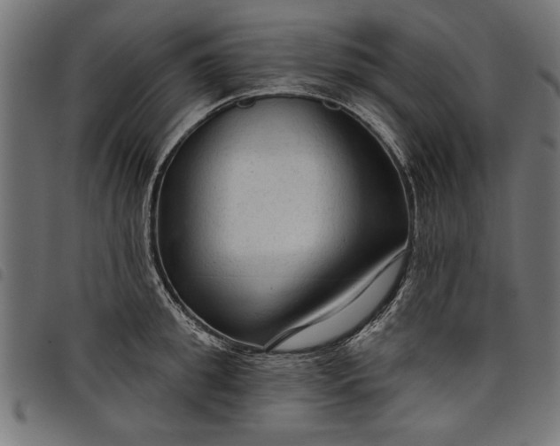 X0000097870949200803281158