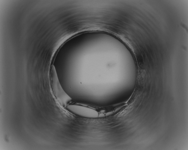 X0000097870951200803281158