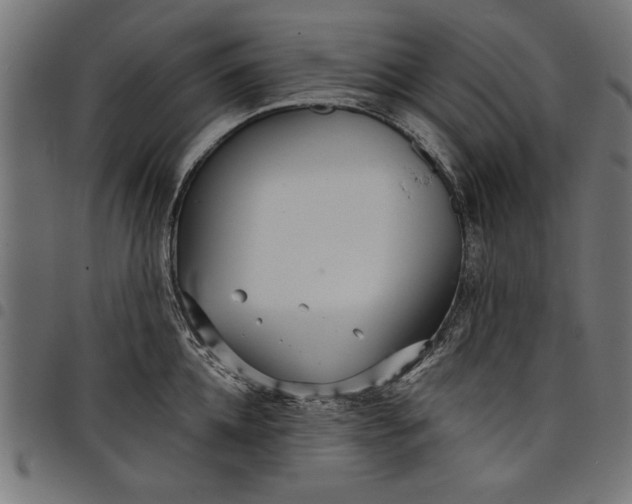 X0000097870952200803281158
