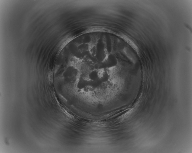 X0000097870953200803281158