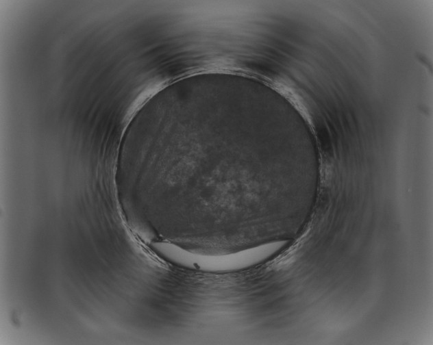 X0000097870954200803281158