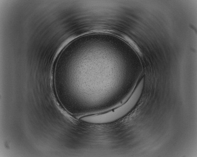 X0000097870955200803281158