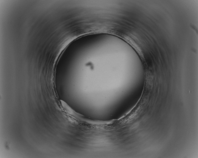 X0000097870956200803281158