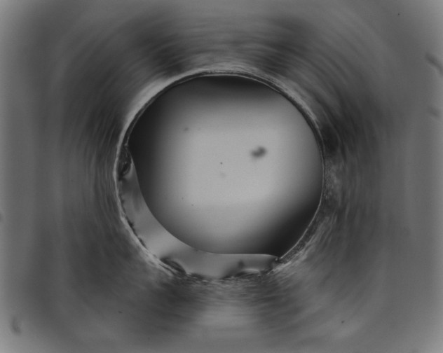 X0000097870959200803281158