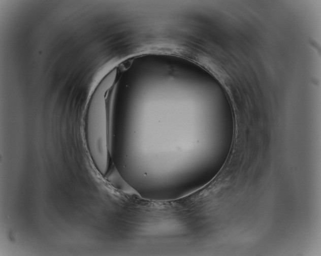 X0000097870960200803281158