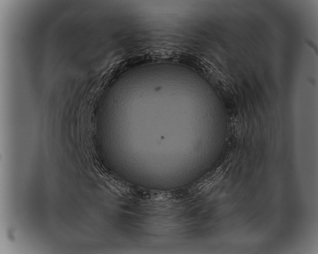 X0000097870961200803281158