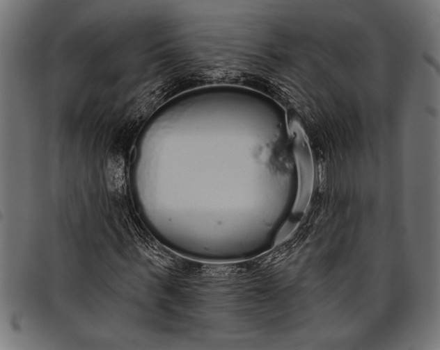 X0000097870963200803281158