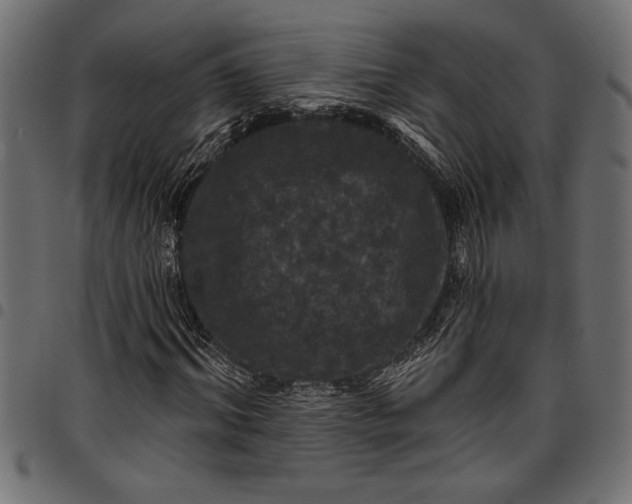 X0000097870964200803281157