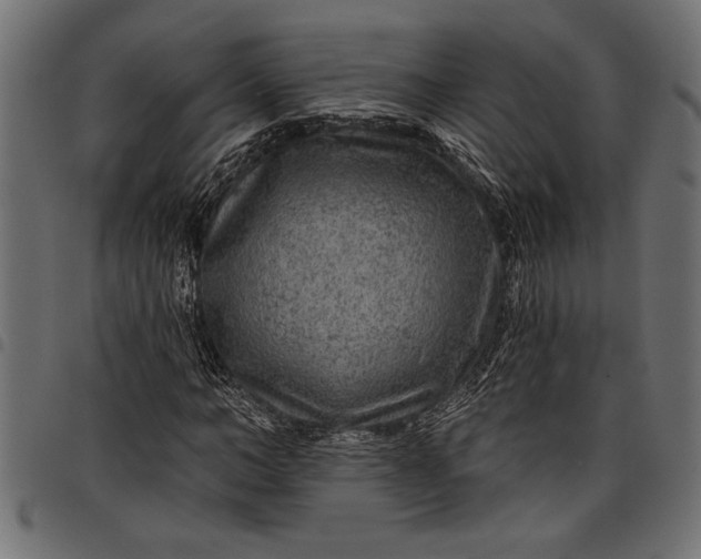 X0000097870966200803281157