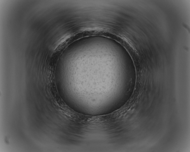 X0000097870967200803281157