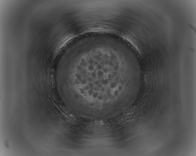 X0000097870968200803281157