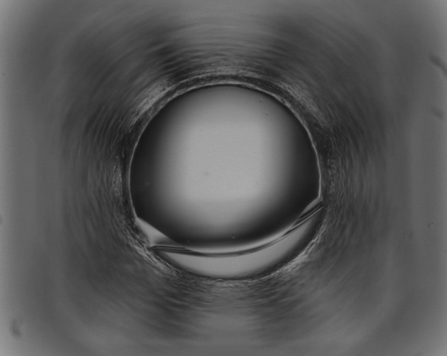 X0000097870969200803281157