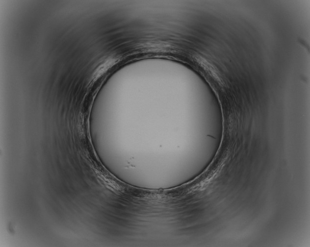 X0000097870970200803281157