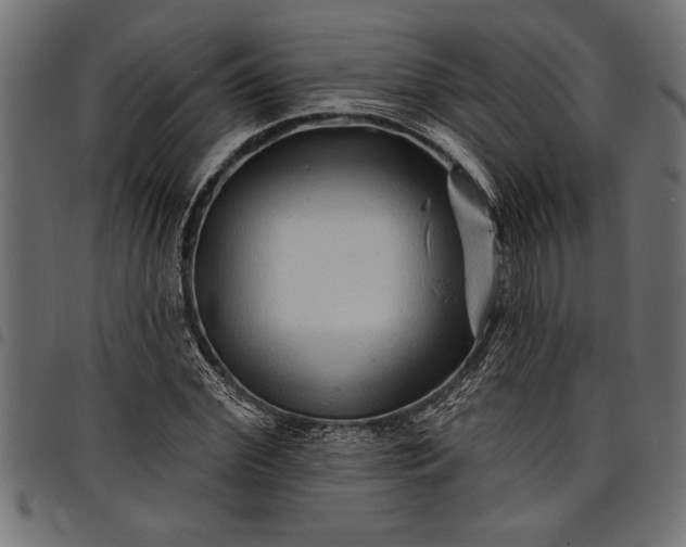 X0000097870972200803281157