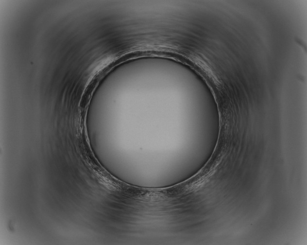 X0000097870974200803281157