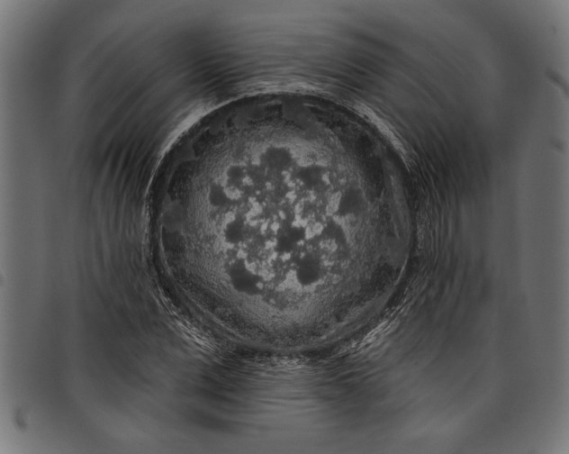 X0000097870975200803281157