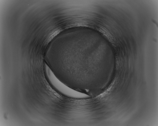 X0000097870977200803281157