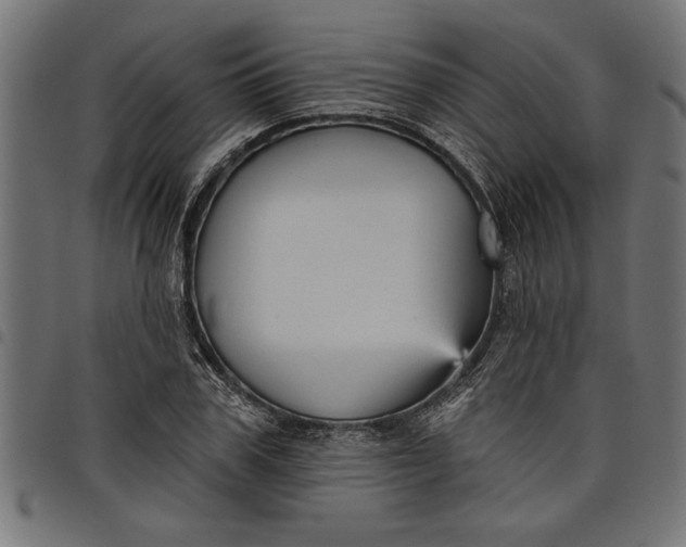 X0000097870979200803281157