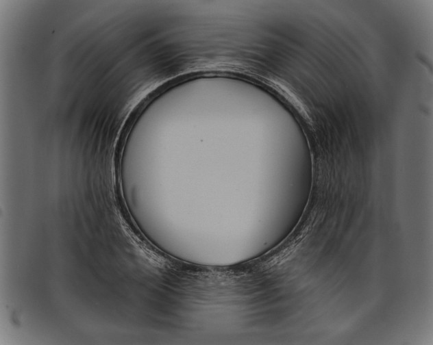 X0000097870980200803281157
