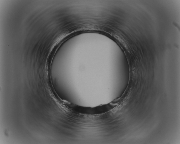 X0000097870981200803281157