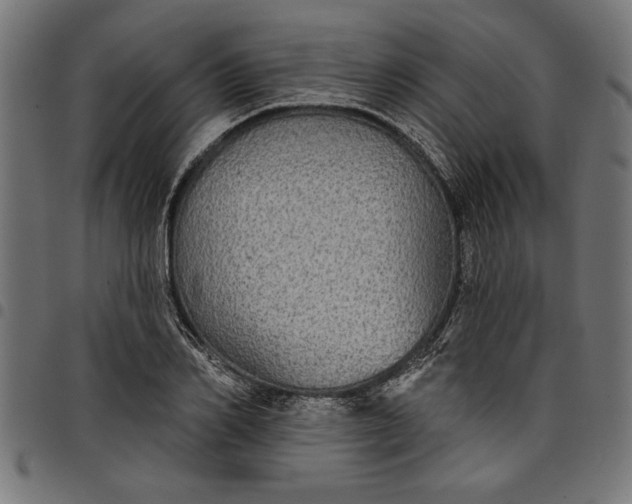 X0000097870982200803281157