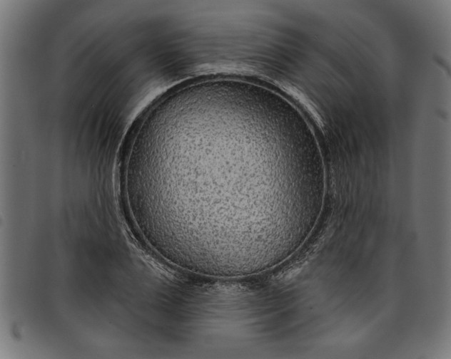 X0000097870983200803281157