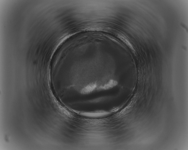 X0000097870984200803281157