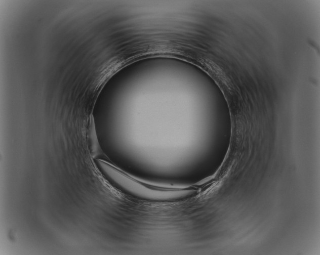 X0000097870985200803281157