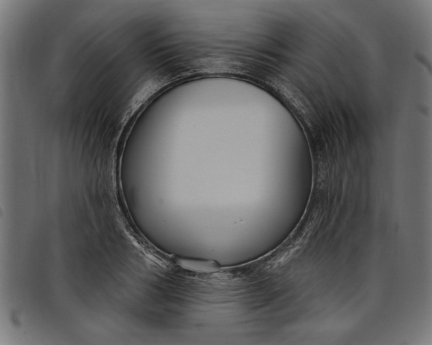 X0000097870986200803281157