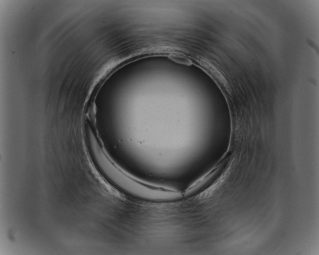 X0000097870989200803281157