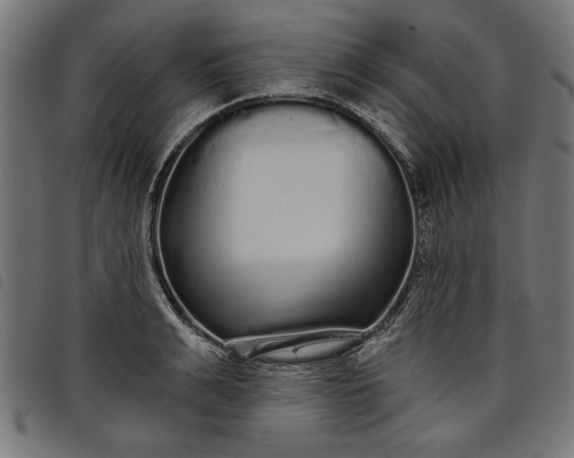 X0000097870991200803281157