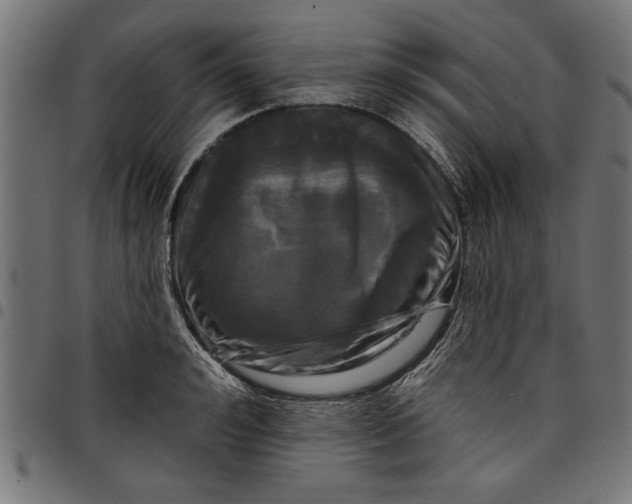 X0000097870992200803281157