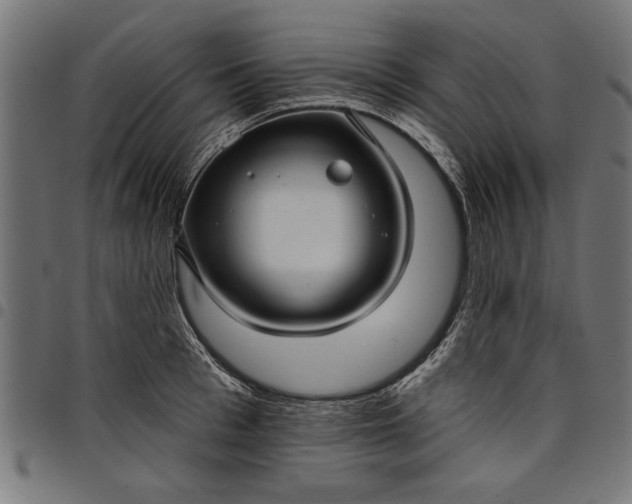X0000097870993200803281157