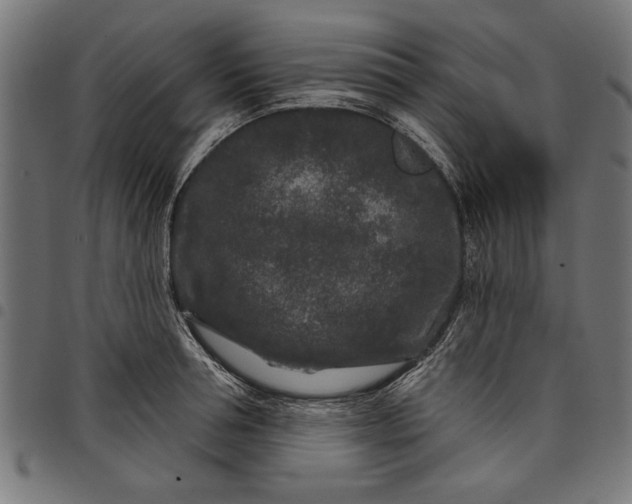 X0000097870994200803281157