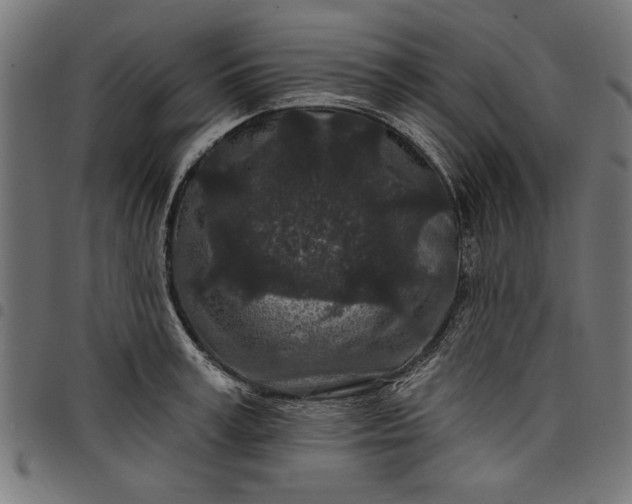 X0000097870995200803281157